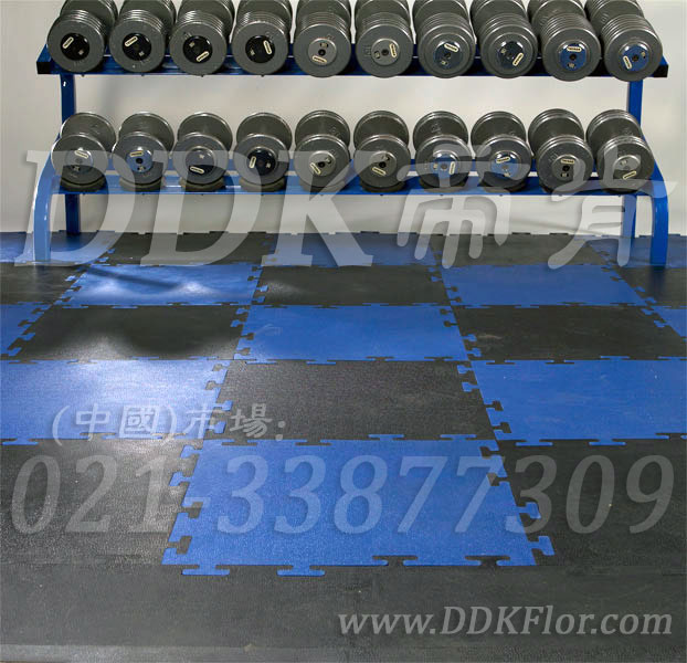 啞鈴器械區_藍色+黑色樣板圖片,帝肯(DDK)_4000(JP|勁豪)效果圖 啞鈴器械區_藍色+黑色樣板圖片,帝肯(DDK)_4000(JP|勁豪)效果圖,健身房防震地墊,健身房橡膠地板,健身房地膠,健身房地毯,健身房地板膠,健身房地板,健身房地墊